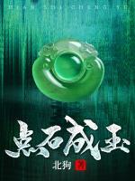 点石成玉张超最新章节内容