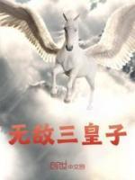 无敌三皇子叶枭免费全集