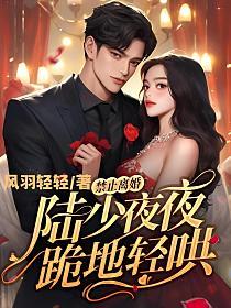 禁止离婚陆少夜夜结局