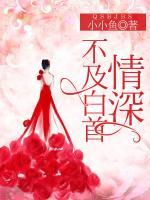 情深不及白首免费阅读目录