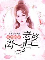 老婆离一归二 容宸.薇子衿