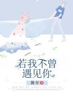若不曾遇见你预告片