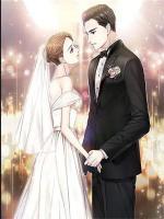 沈少的替身小妖精