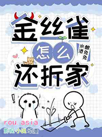 金丝雀怎么还拆家梁晓