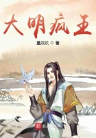 大明疯王txt