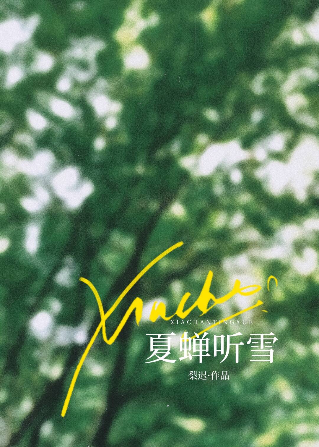 夏蝉听雪免费阅读晋江