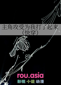 主角攻受为我打起来了 txt