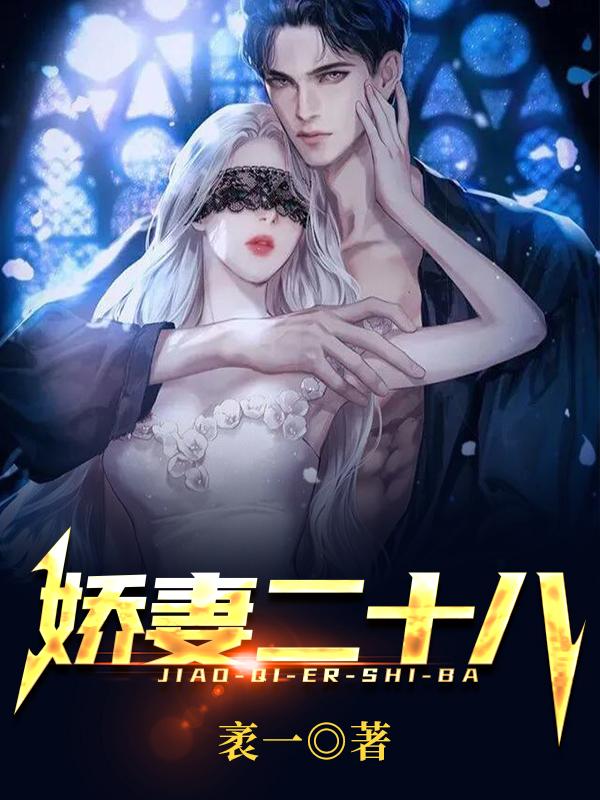 娇妻二十八全文