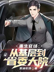 重生官场从基层到省委大院动漫