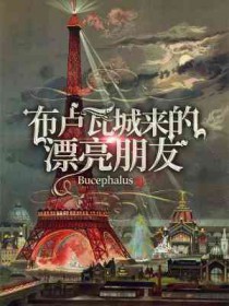 布卢瓦城来漂亮朋友故事梗概