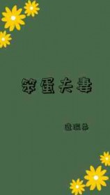 笨蛋夫妻by不知名大温柔免费阅读