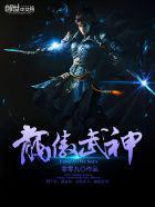 龙傲武神龙昊多少女主