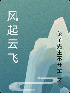 风起云飞贼当道打一生肖