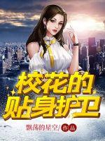 校花的贴身护卫扬天