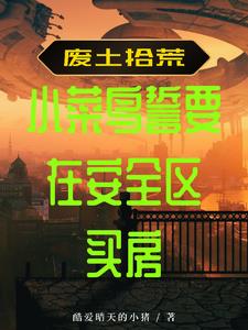 废土拾荒小菜鸟誓要在安全区买房 作者酷爱晴天的小猪