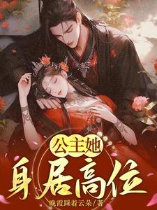 公主之夜百度百科