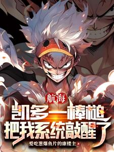 百兽海贼团四灾