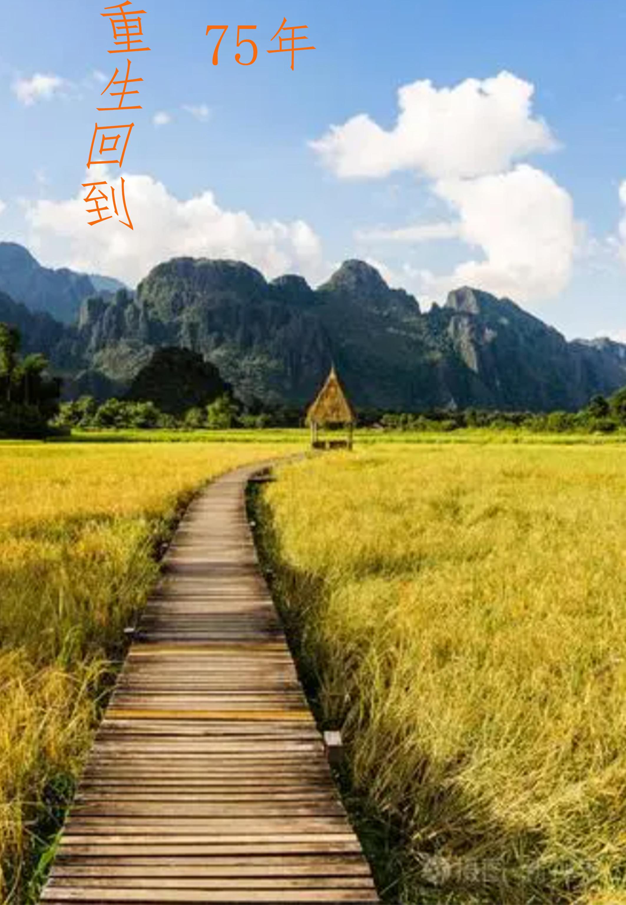 重生回到75年txt