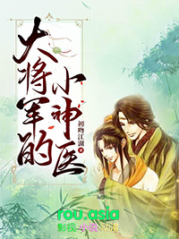 大将军的小神医心