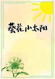 葵花小太阳最新章节更新内容