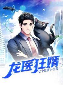 龙医狂婿txt