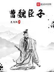 曹魏臣子寿春专任种田的背景故事与成就
