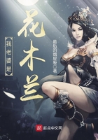 我老婆是花木兰免费阅读
