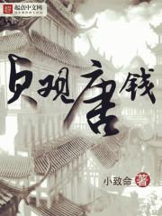 贞观唐钱精校版txt电子书